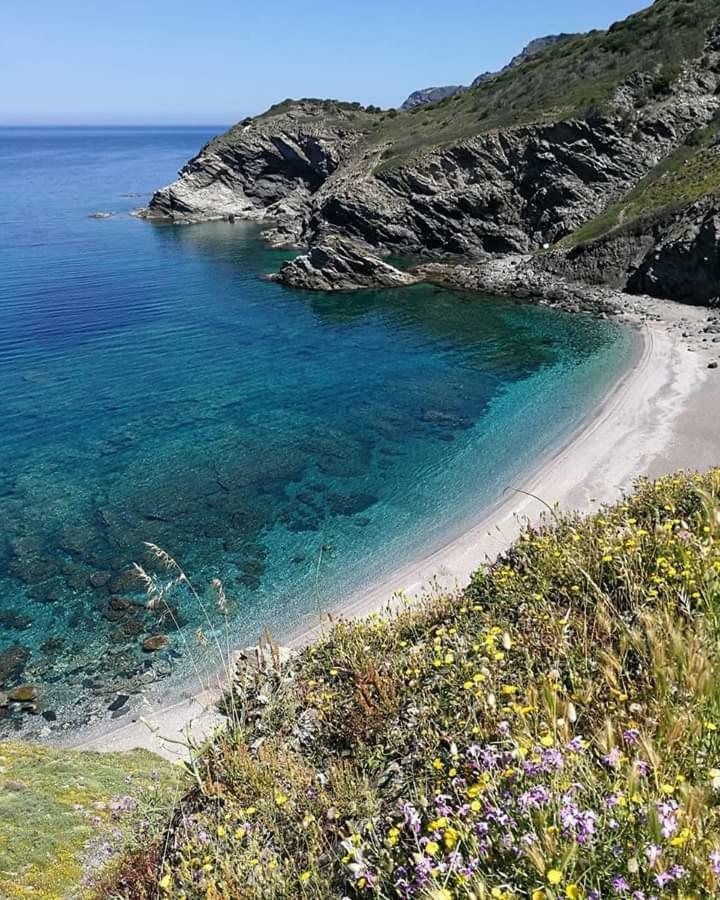 Da Mario & Marianna Διαμέρισμα Campanedda Εξωτερικό φωτογραφία